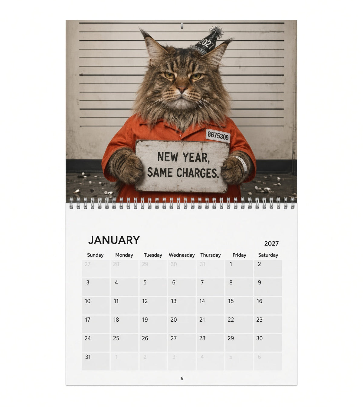 💥 Last Day 50% OFF😹📅 2027 Funny Cat Calendar – 12 Months of Purr-fect Chaos 🐱😂
