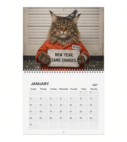 💥 Last Day 50% OFF😹📅 2027 Funny Cat Calendar – 12 Months of Purr-fect Chaos 🐱😂